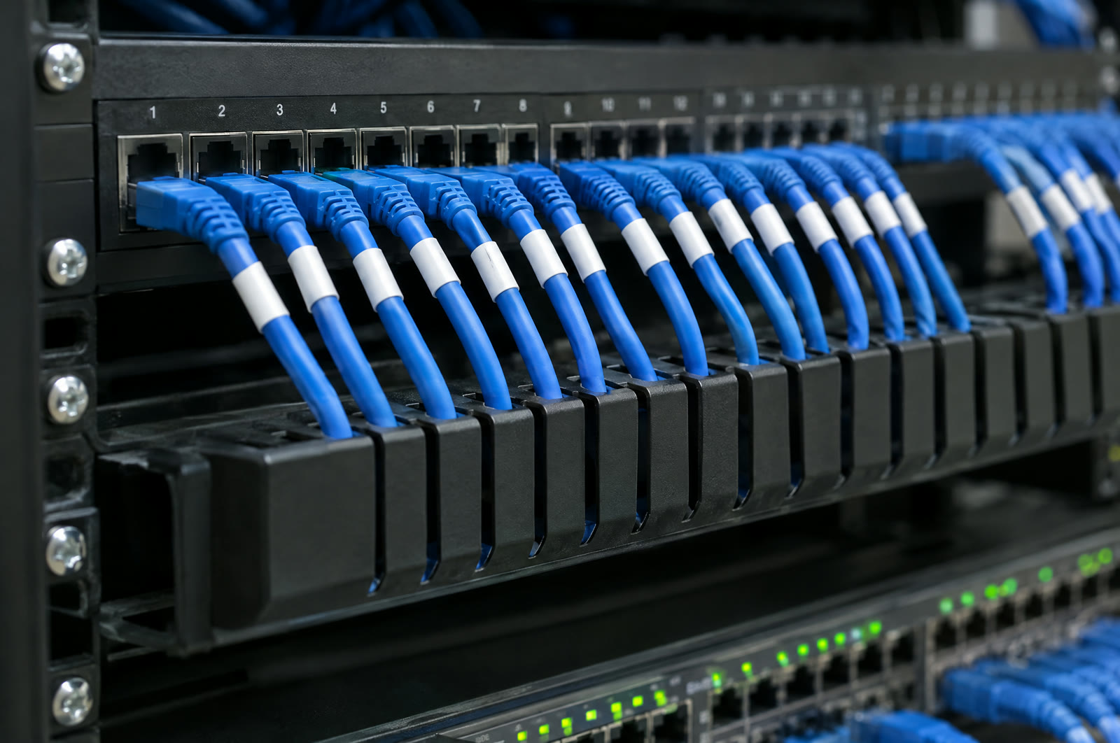 A close-up of a patch panel with short blue patch cords and small labels